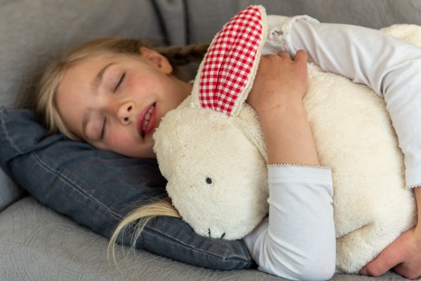 Schlaf - und Kuschelkissen Hennes der Hase - Bio Plüsch
